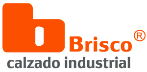 Calzado Brisco